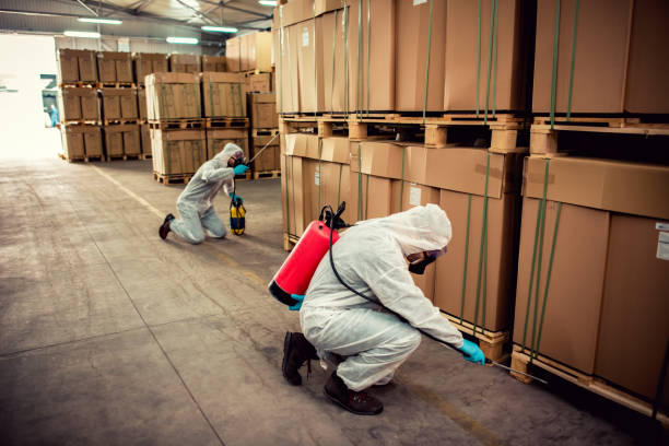 Best Flea Control Services  in Sturgis, MI