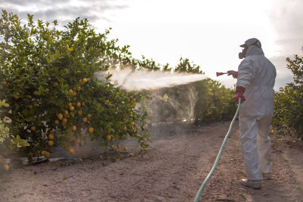 Best Affordable Pest Control Services  in Sturgis, MI