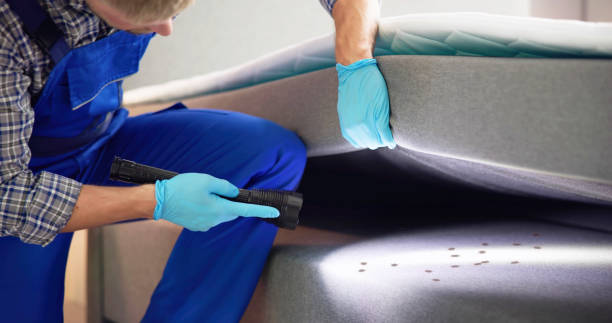 Best Best Pest Control Companies  in Sturgis, MI