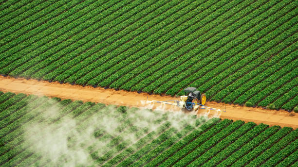 Professional Pest Control in Sturgis, MI